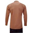 Plain Brown Shirt : Business