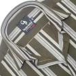 Stripes Green Shirt : Business