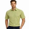 Stripes Green Shirt : Business