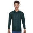 Stripes Green Shirt : Business