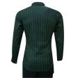 Stripes Green Shirt : Business