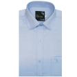 Plain Light Blue Shirt : Business