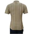 Stripes Khakhi T-shirt : Regular