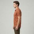 Print Brown T-shirt : Regular