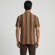 Stripes Khakhi T-shirt : Regular