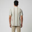 Stripes Khakhi T-shirt : Regular