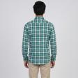 Checks Green Shirt : Ditto