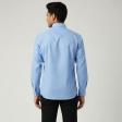 Plain Blue Shirt : Business