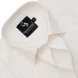 Plain White Shirt : Business