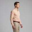 Stripes Orange Shirt : Business