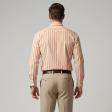 Stripes Orange Shirt : Business