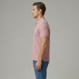 Stripes Pink T-shirt : Regular