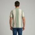 Stripes Green T-shirt : Regular