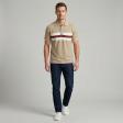 Stripes Khakhi T-shirt : Regular