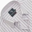 Stripes Mauve Shirt : Business