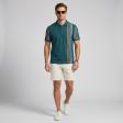 Stripes Dark Green T-shirt : Regular