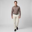 Plain Brown Shirt : Business