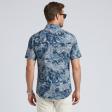Print Blue Shirt : Ditto