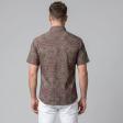 Print Maroon Shirt : Ditto