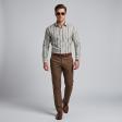 Stripes Gray Shirt : Ditto