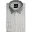 Stripes Green Shirt : Business