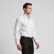 Plain White Shirt : Business