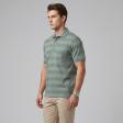 Stripes Green T-shirt : Regular