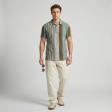 Stripes Green T-shirt : Regular