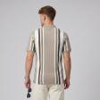 Stripes Khakhi T-shirt : Regular