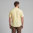 Handpainted Lemon Shirt : Ditto