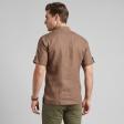 Plain Brown Shirt : Ditto