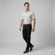 Stripes Green Shirt : Business