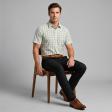 Stripes Green Shirt : Business