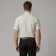 Stripes Green Shirt : Business