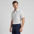 Stripes Green Shirt : Business