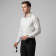 Stripes Gray Shirt : Business