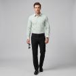 Stripes Green Shirt : Business