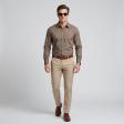 Plain Brown Shirt : Business