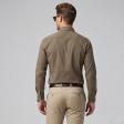 Plain Brown Shirt : Business