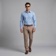 Plain Blue Shirt : Business