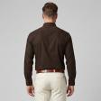 Plain Brown Shirt : Business