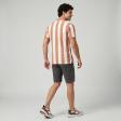 Stripes Peach T-shirt : Regular