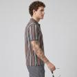 Stripes Gray T-shirt : Regular
