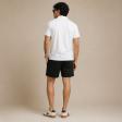 Plain White T-shirt : Regular