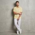 Plain Lemon Shirt : Business