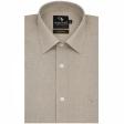 Plain Light Green Shirt : Business