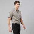 Plain Light Green Shirt : Business