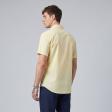 Handpainted Lemon Shirt : Ditto