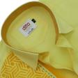 Handpainted Lemon Shirt : Ditto