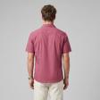 Handpainted Maroon Shirt : Ditto